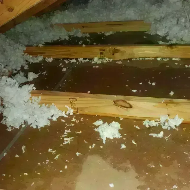 Attic Water Damage in Forsyth, MT